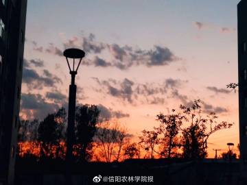 百度精選“忙忙碌碌”猜一數(shù)字